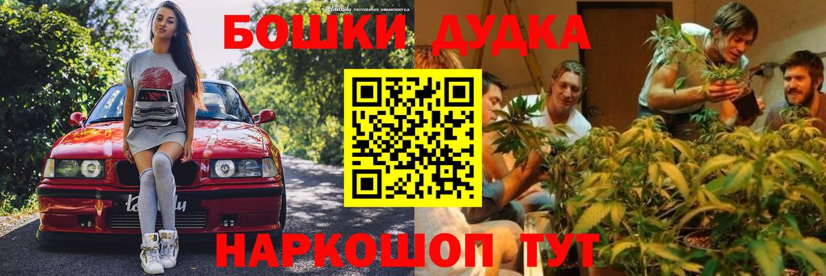 Кингисепп  Каннабис гибрид  Вход с VPN  Бошки марихуана сатива 